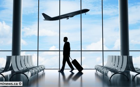 Highly Skilled Workers Flee Canada — What This Means for the Economy