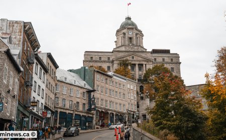 Canada Immigration Shock: Ontario to Scrap All OINP Streams