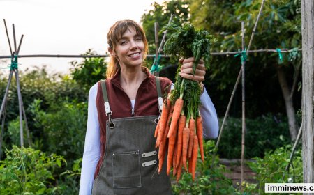 Canada Immigration Update 2026: Rural Work Permit Rules Eased in Nova Scotia & Quebec