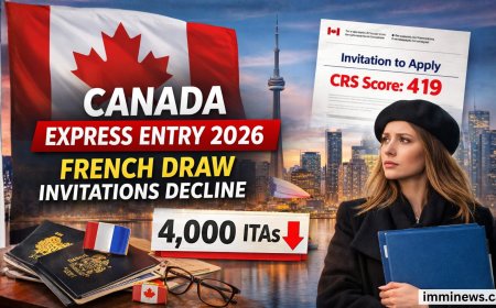 Express Entry Shock: French Category Invitations Decline in Latest IRCC Round