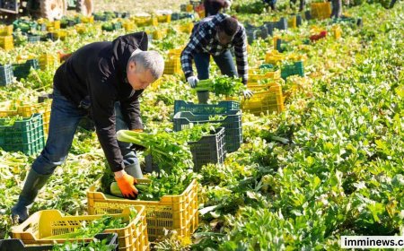 Manitoba Opens Door Wider for Foreign Workers: Major TFWP Rule Change Until 2027