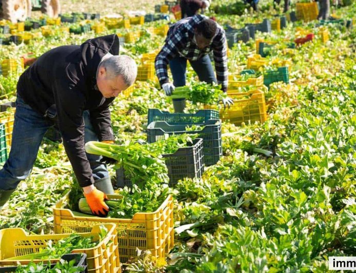 Manitoba Opens Door Wider for Foreign Workers: Major TFWP Rule Change Until 2027