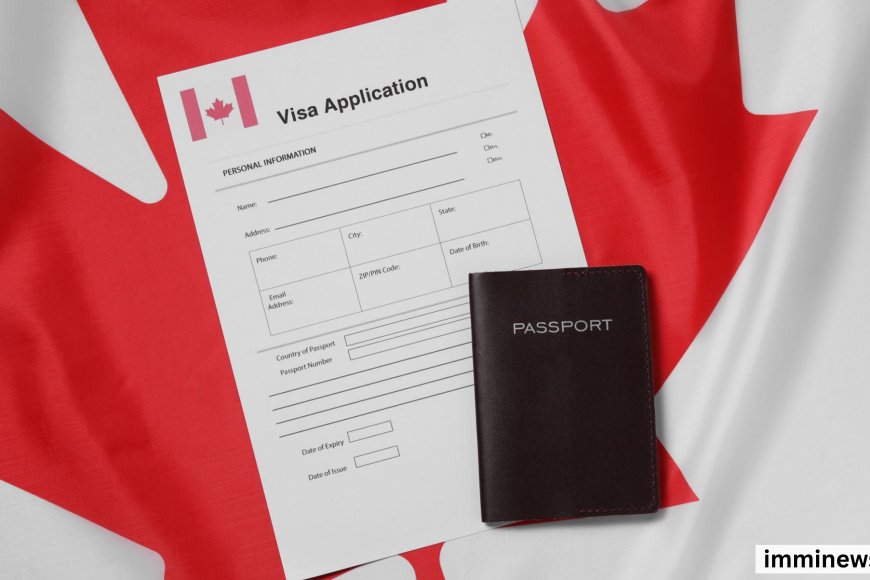 Big Express Entry Update 2026: 5 Categories That Haven’t Drawn Yet (Huge Opportunity)