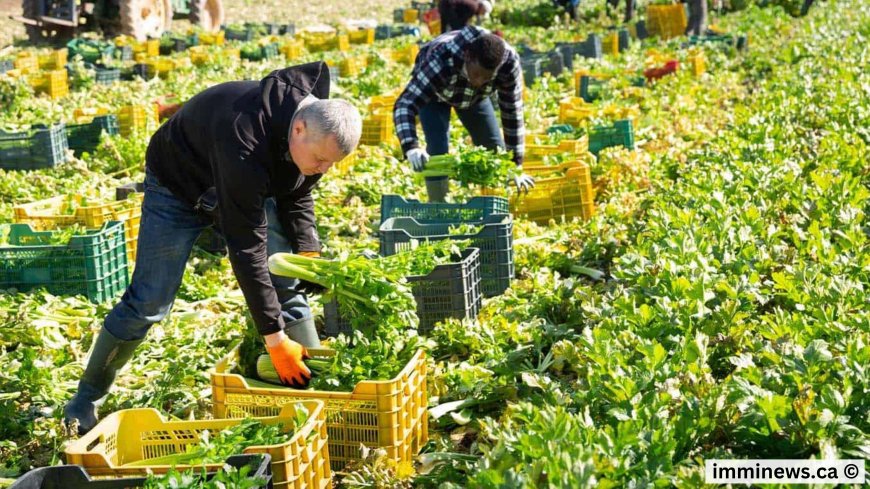 Manitoba Opens Door Wider for Foreign Workers: Major TFWP Rule Change Until 2027