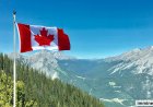 IRCC Announces Major Asylum Rule Change for Unaccompanied Minors in Canada