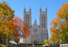 IRCC Processing Times Shift in 2026: AIP Drops 12 Months While Family Sponsorship Slows Down