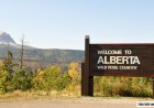 Alberta Issues 743 AAIP Invitations in June 2026: Healthcare, Agriculture & Manufacturing Workers Targeted