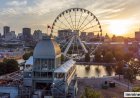 Canada Immigration Update 2026: IRCC Reduces PR Wait Times for Thousands of Applicants
